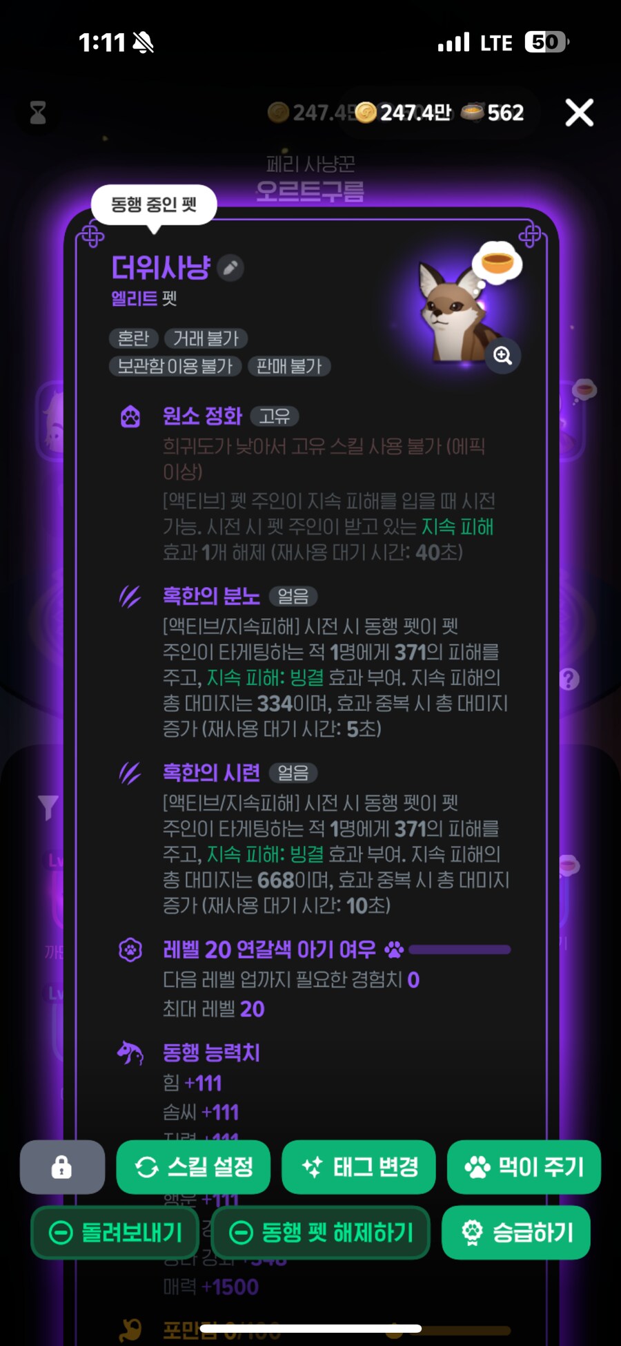 모비노기) 월요일 현란함 정가후 장비 세팅 좀.._3.png
