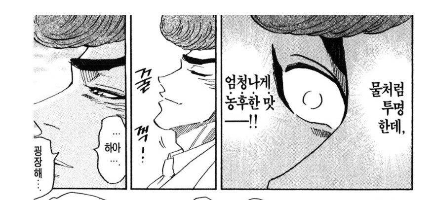 [토리코] 옛날에 본 사람들이 기억하고 있는 번역.jpg_4.jpg