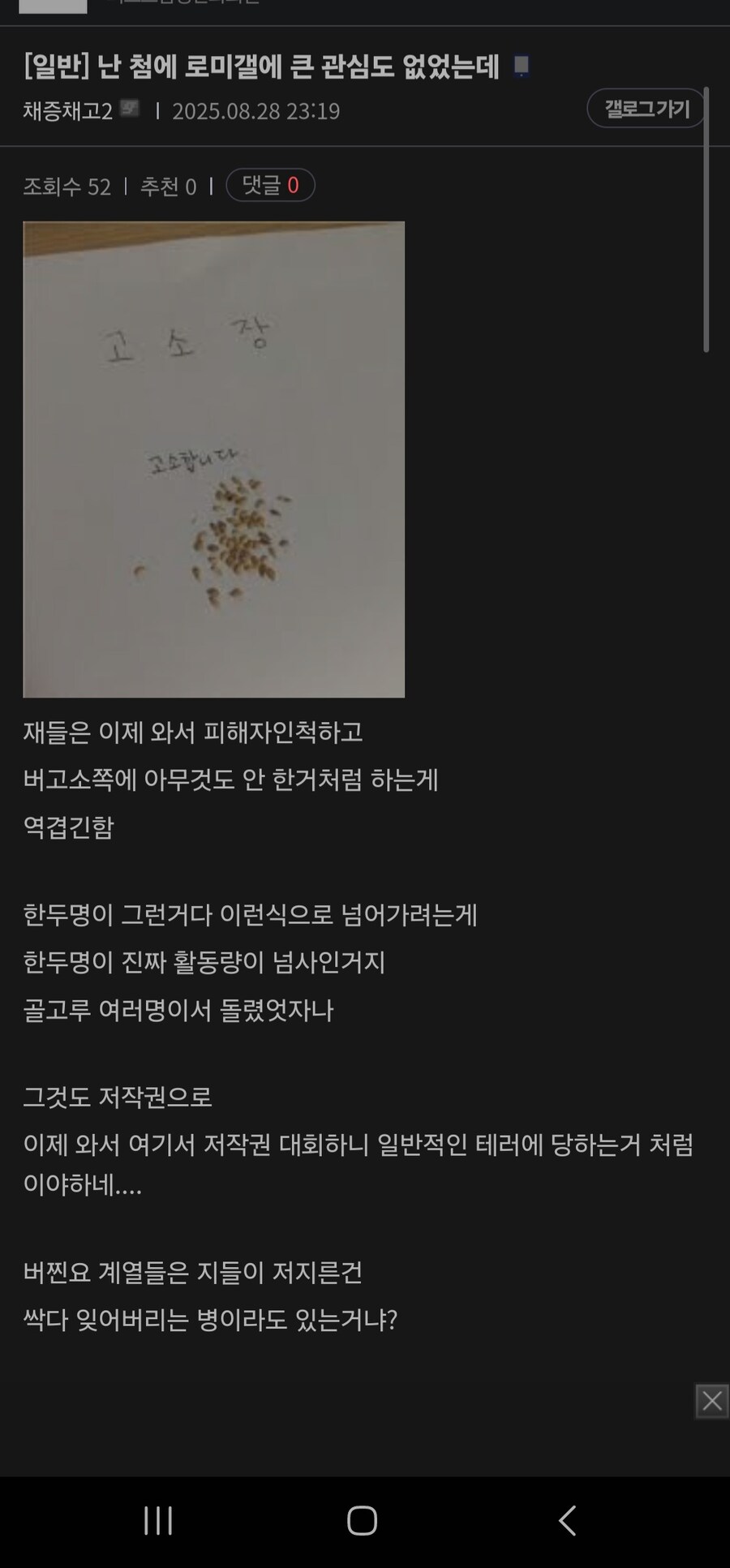 ㅇㅇㄱ)수직갤의 타깃이된 로미갤_5.jpg