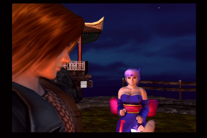 DEAD OR ALIVE 2_27.jpg