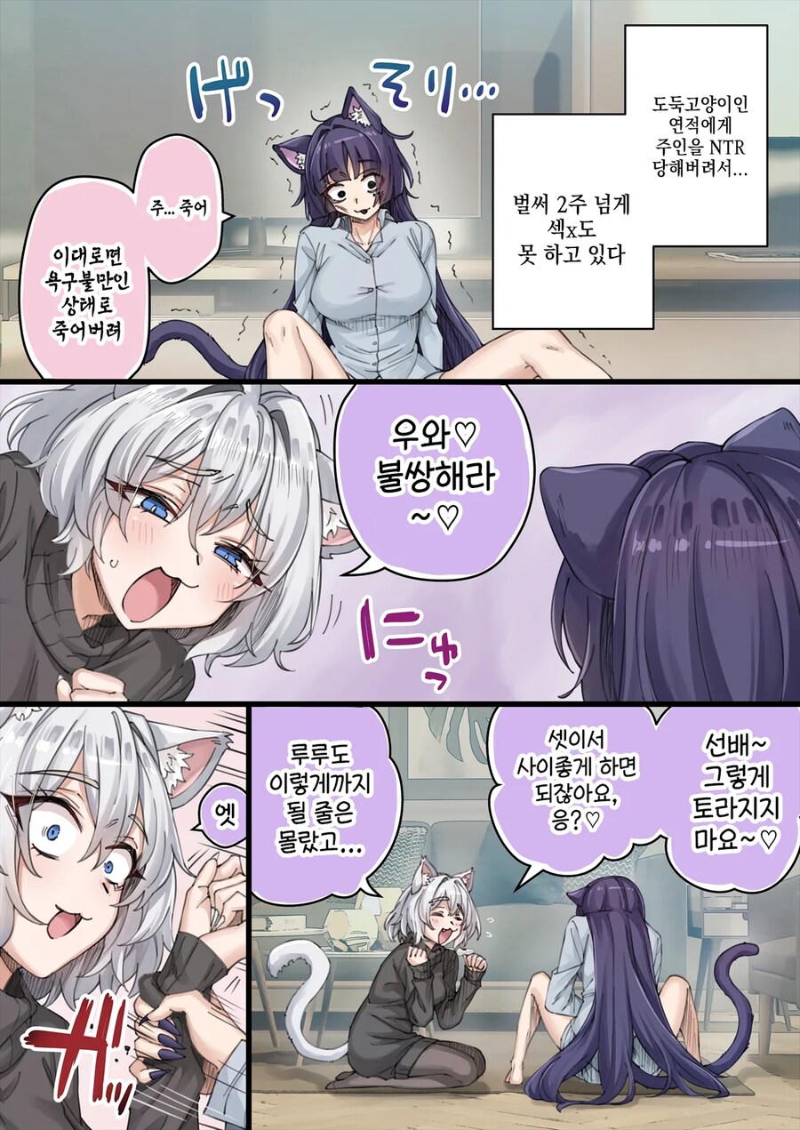 NTR를 너무 많이 당해서 머리가 이상해진 얀데레 반려묘.manga_2.png