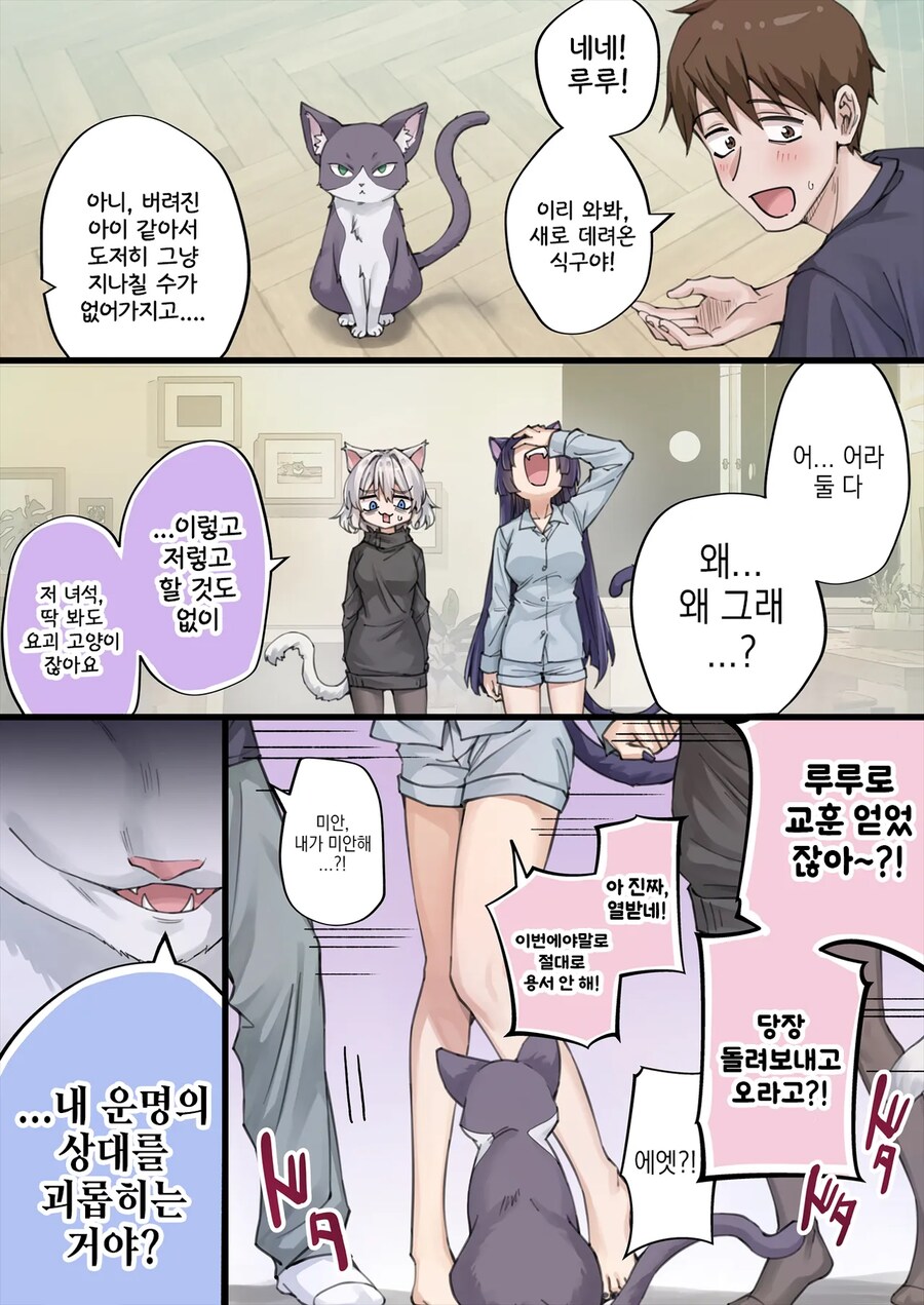 NTR를 너무 많이 당해서 머리가 이상해진 얀데레 반려묘.manga_15.png