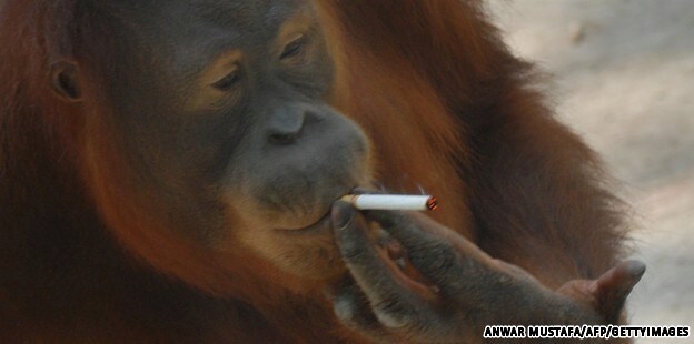 현재 씹덕겜 유저들이 기대하면서 걱정하는 출시예정작_15.png