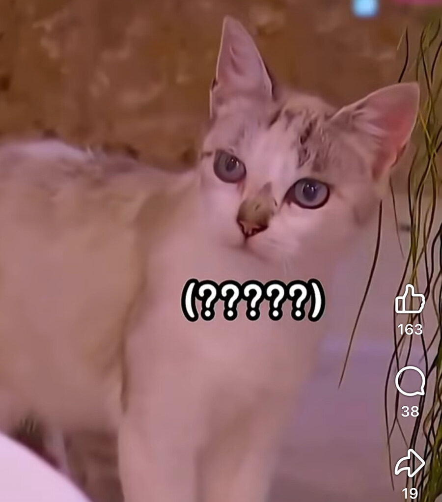 무식한 남자에게 정 뚝 떨어진 서양녀.jpg_6.jpg