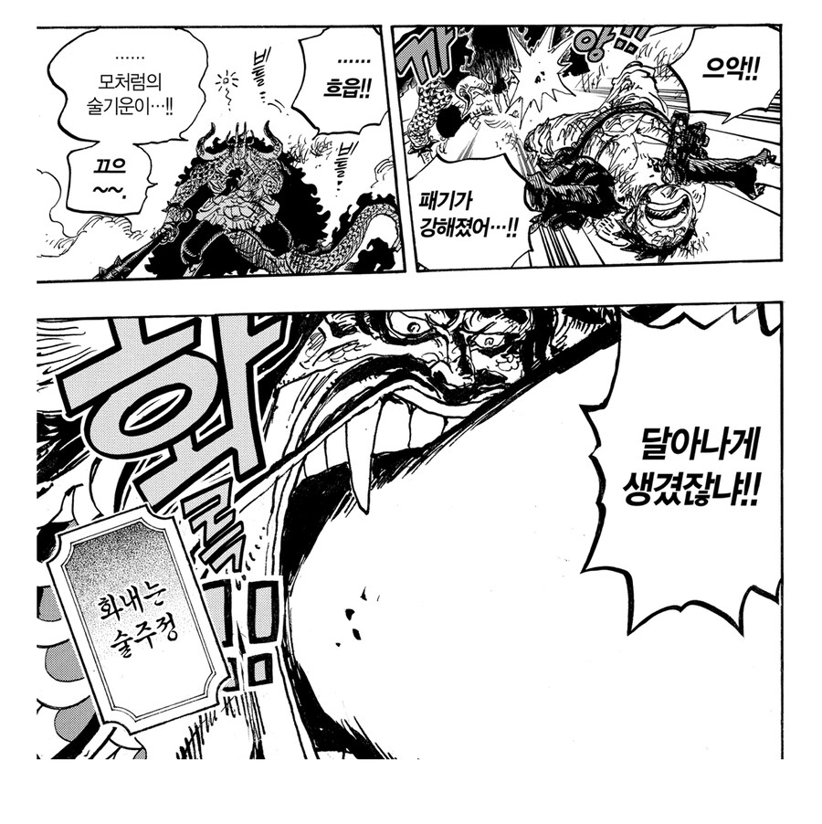 원피스 스포 카이도 관련 킹리적 갓심_8.jpg