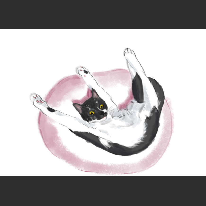 고양이) 넘으집 고양이_1.png