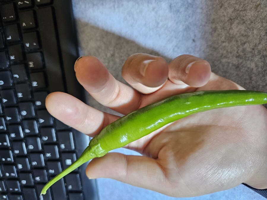 오늘의 작황은!_1.jpg