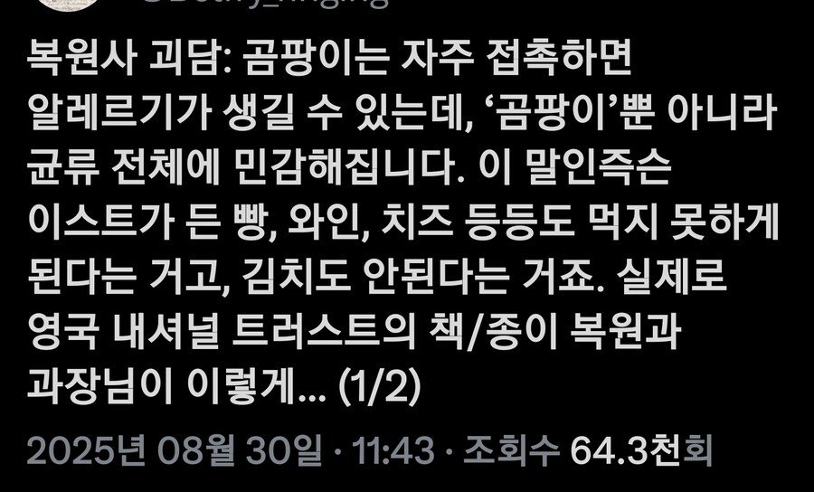 (문화) 고서복원가의 사소한 문제_1.jpg