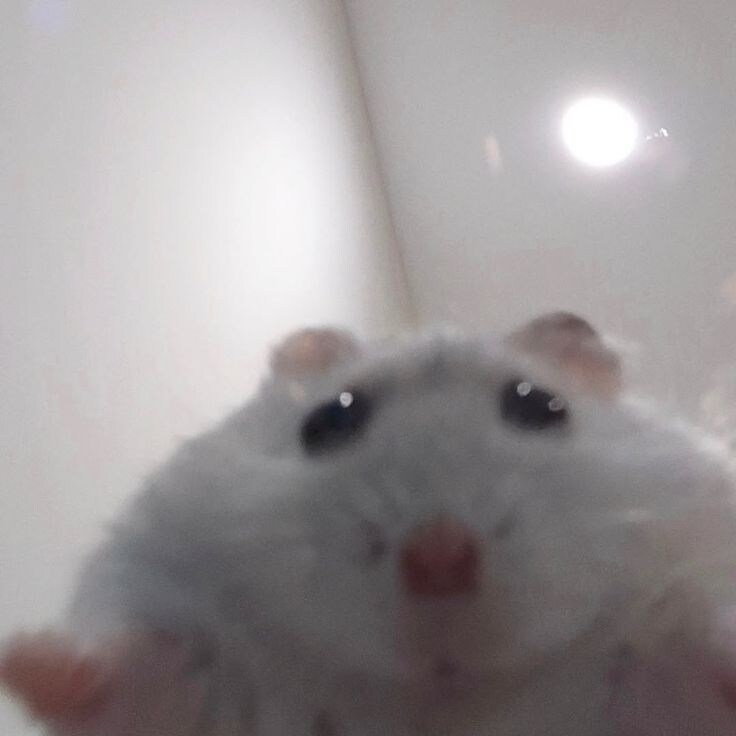 근로장려금 들어왔다니까 동생이_1.jpg