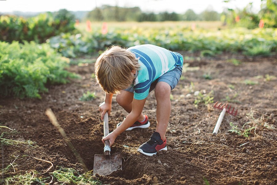 마이너 작품으로 뻘글 쓸 때 단점_1.jpg