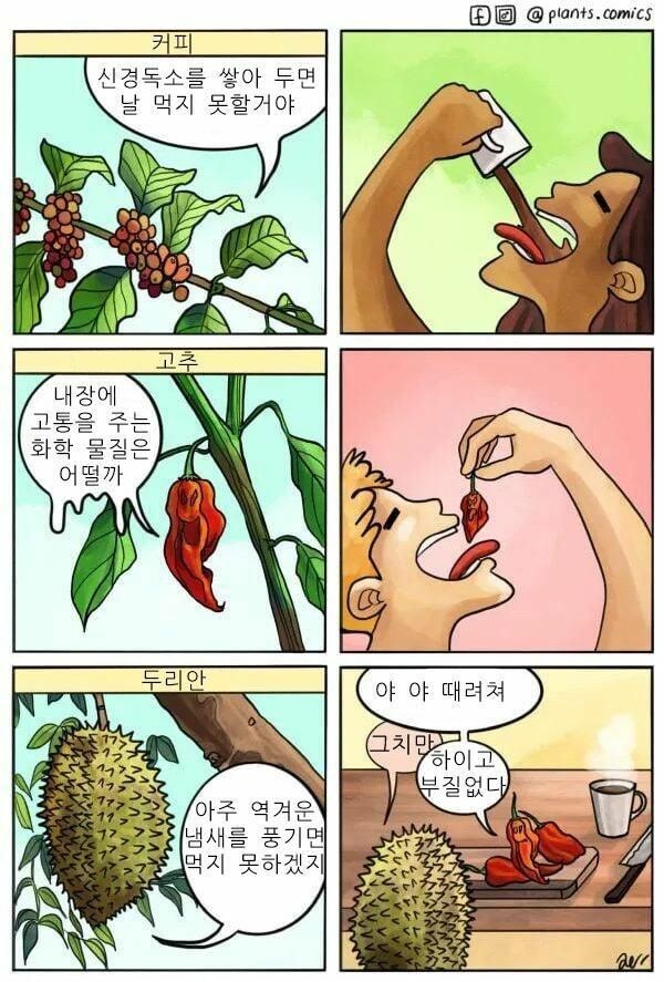 먹히지 않기 위한 식물들의 노력.jpeg_1.jpg