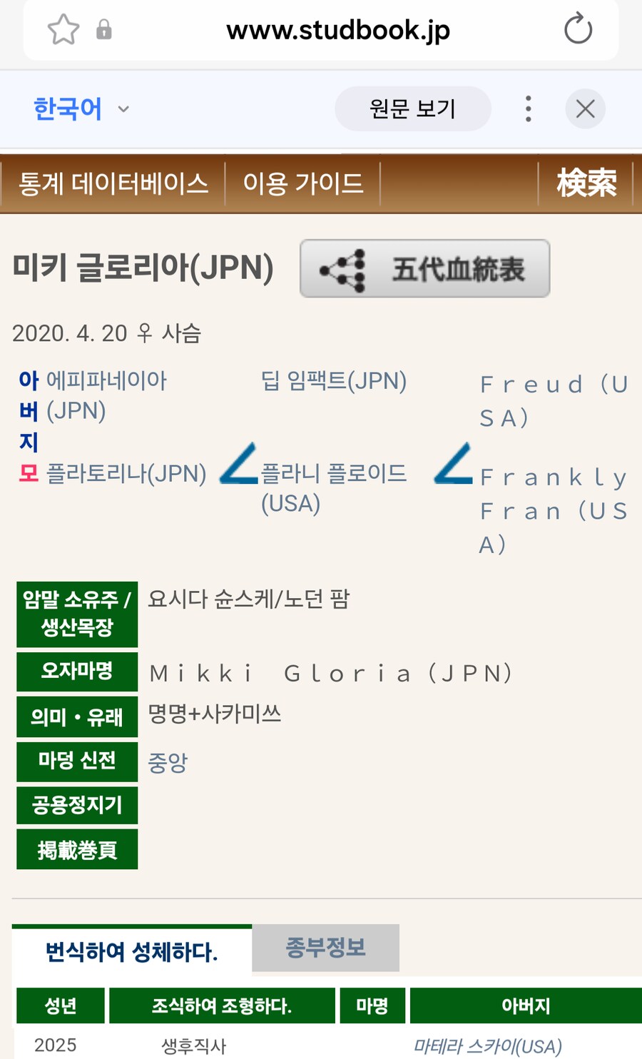 경마, 말딸)슈발 올해 샤다이 쪽 암말 받았으려나?_6.png