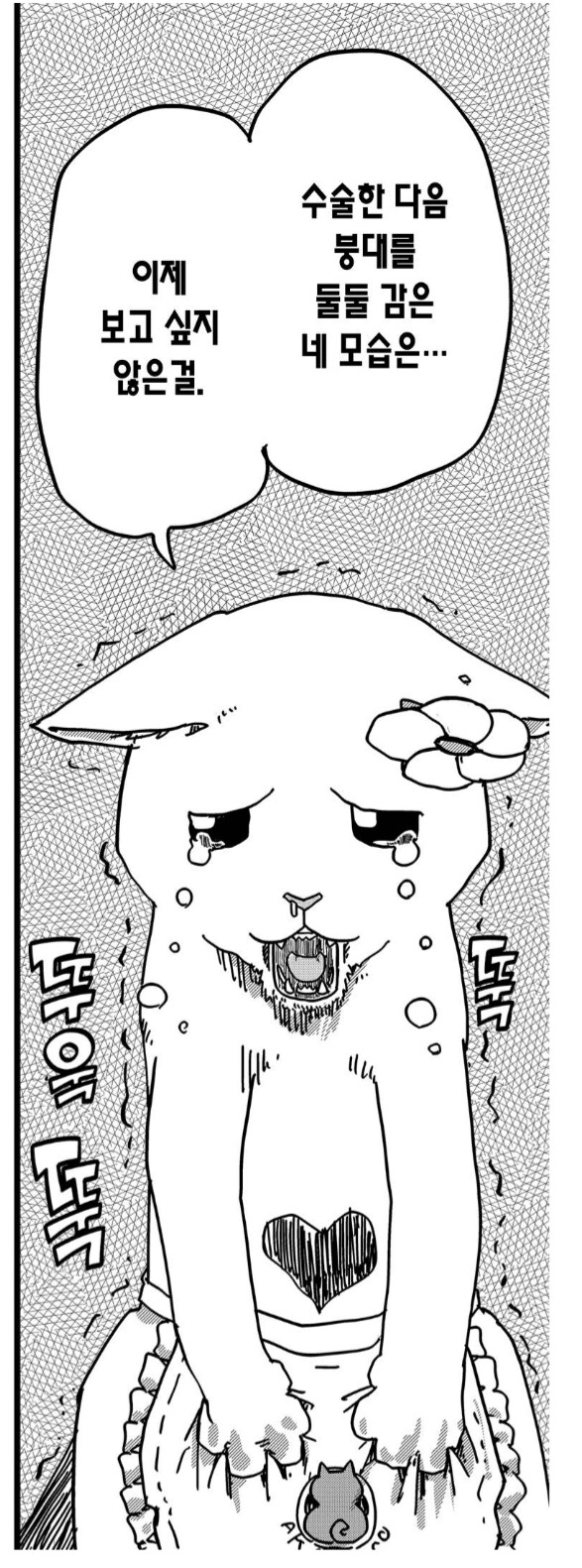 전직 아이돌 고양이의 슬픈 진실.manhwa_4.png