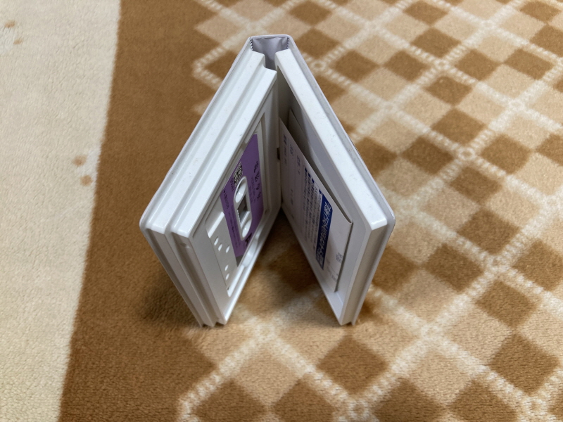 전영소녀(電影少女) VIDEO GIRL AI 카세트 북 with Game_22.jpg