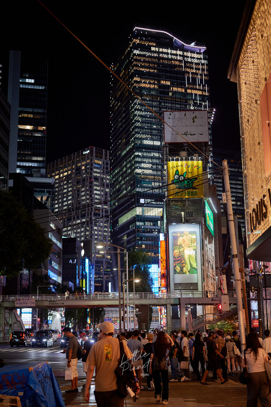 첫 일본, 한 여름의 도쿄 나들이 (스압)_52.jpg