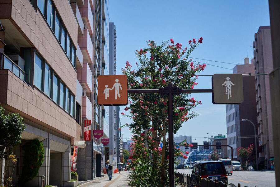 첫 일본, 한 여름의 도쿄 나들이 (스압)_65.jpg