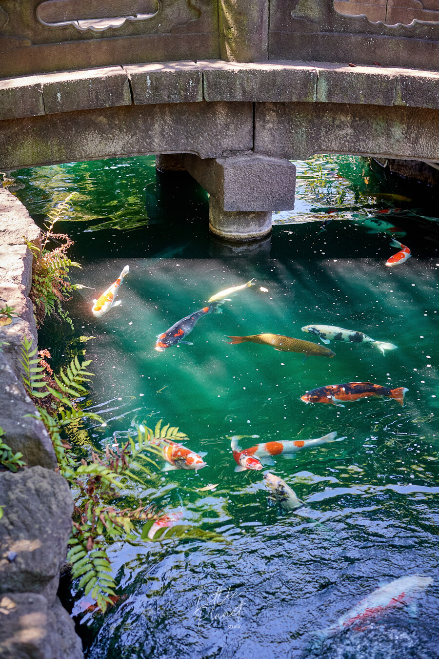 첫 일본, 한 여름의 도쿄 나들이 (스압)_76.jpg