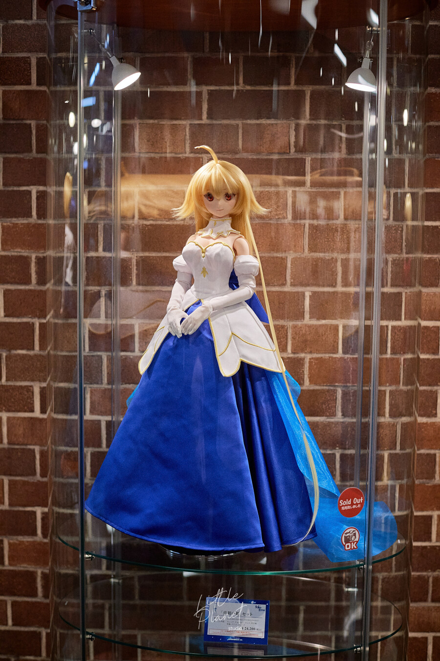 첫 일본, 한 여름의 도쿄 나들이 (스압)_102.jpg