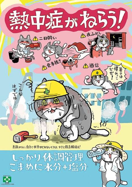 일본의 ㅈ소고양이는 사실.._2.jpg