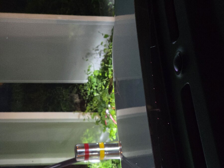 캐스퍼 일렉트릭_1.jpg