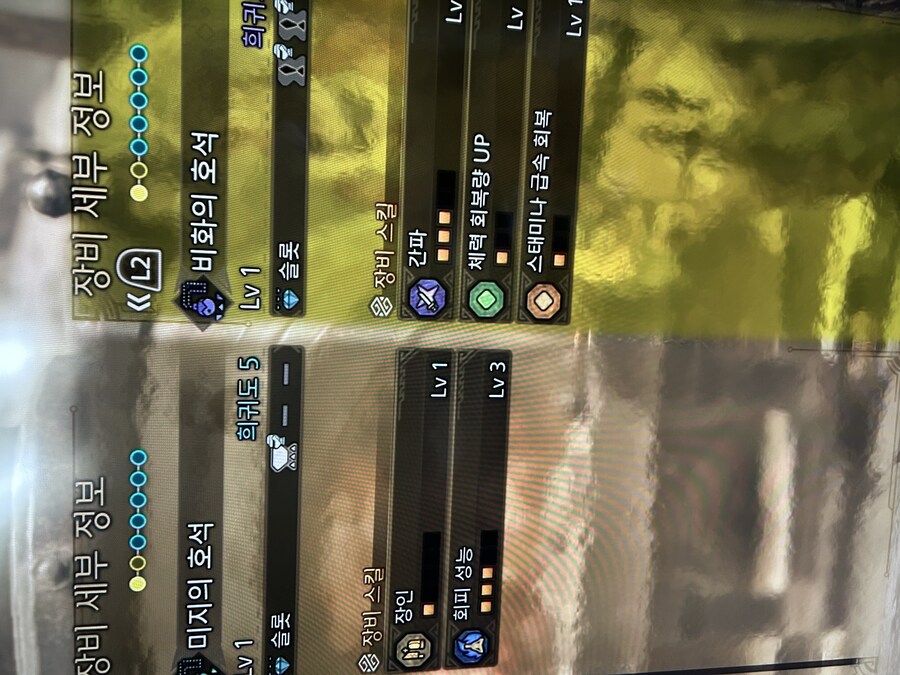 희귀5짜리 호석인데 묘하게 좋아보여서 질문_1.jpg