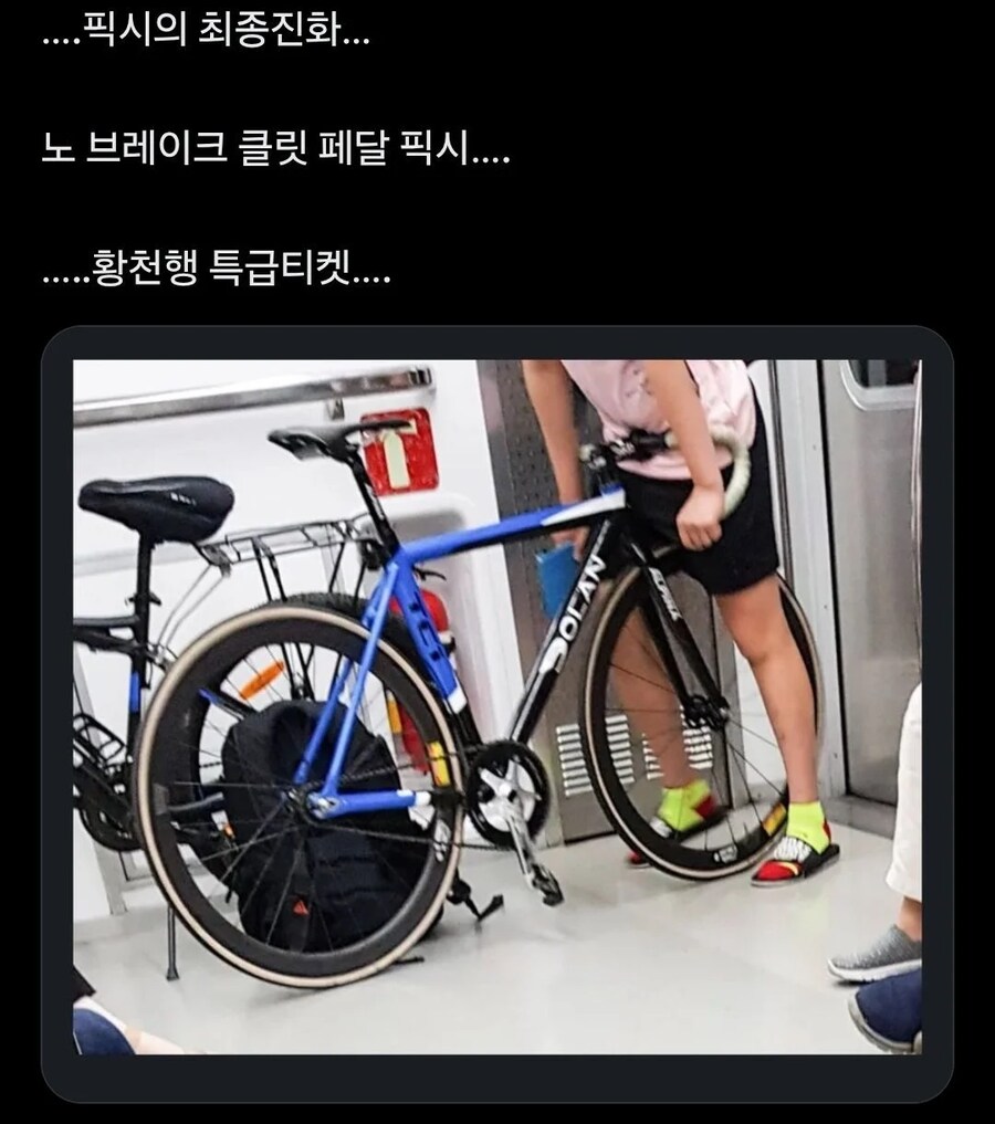 노브레이크 픽시충 최종진화_1.png