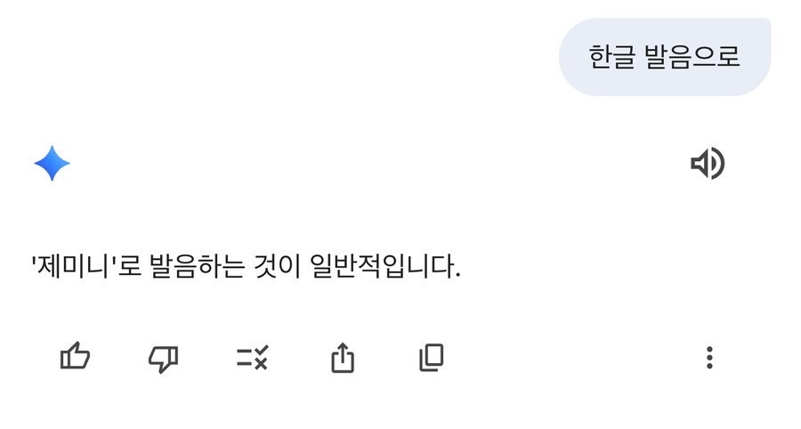 제미니 vs 제미나이 논란 종결시킨다_2.jpg