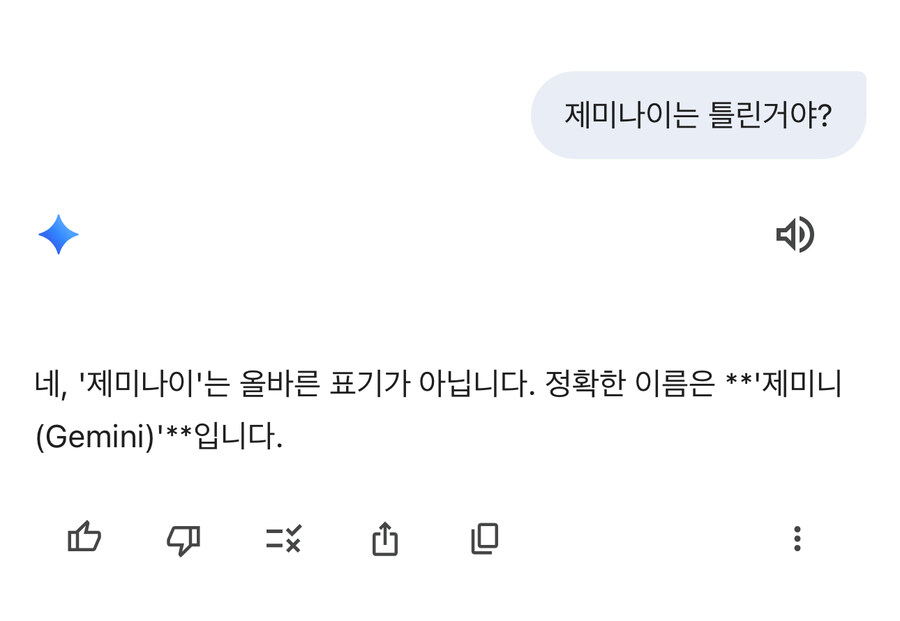 제미니 vs 제미나이 논란 종결시킨다_3.jpg