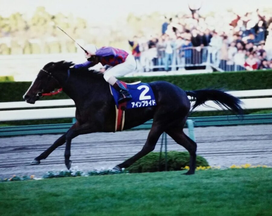 공식 말딸화 해줬으면 하는 경주마 TOP 30_13.png