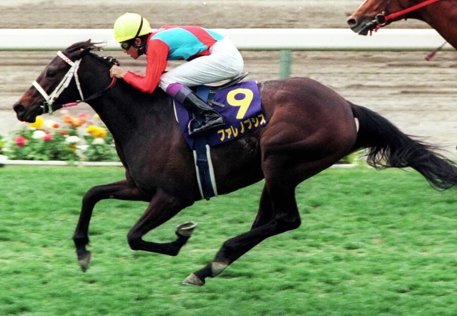 공식 말딸화 해줬으면 하는 경주마 TOP 30_17.png