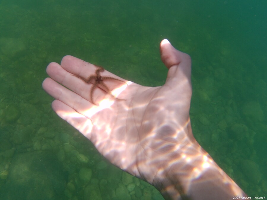 스압주의) 부산바다 스노클링 2탄_108.jpg