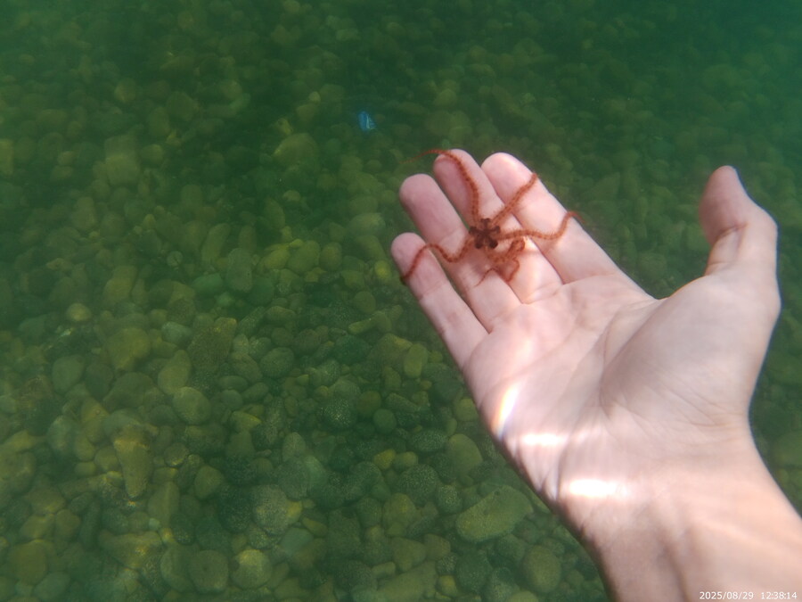 스압주의) 부산바다 스노클링 2탄_120.jpg