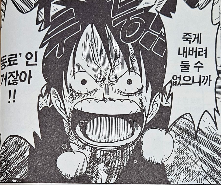 원피스) 루피의 친구관과 리더관 이면의 두려움_21.jpg