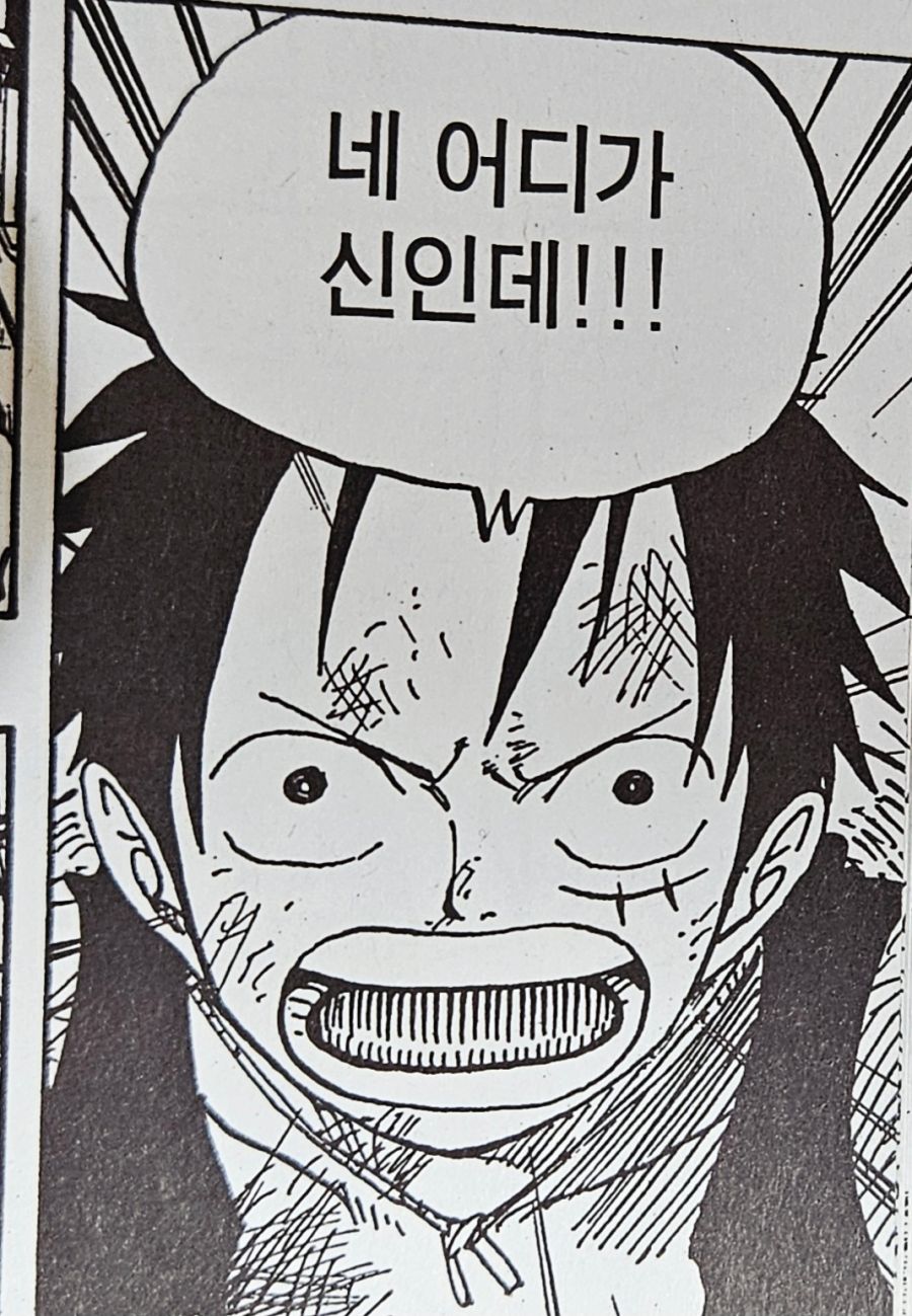 원피스) 루피의 친구관과 리더관 이면의 두려움_26.jpg