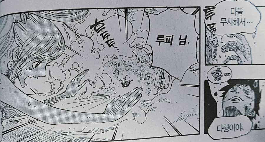 원피스) 루피의 친구관과 리더관 이면의 두려움_68.jpg