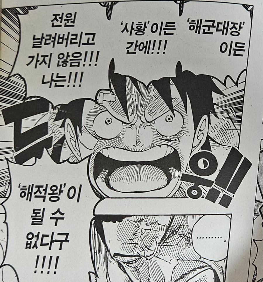 원피스) 루피의 친구관과 리더관 이면의 두려움_93.jpg