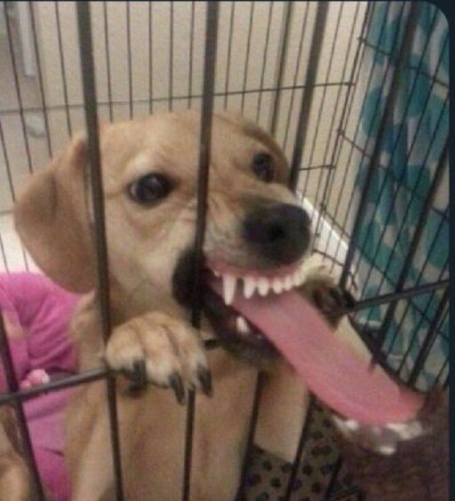 야구팬이 행복하지 않다는 증거_2.png