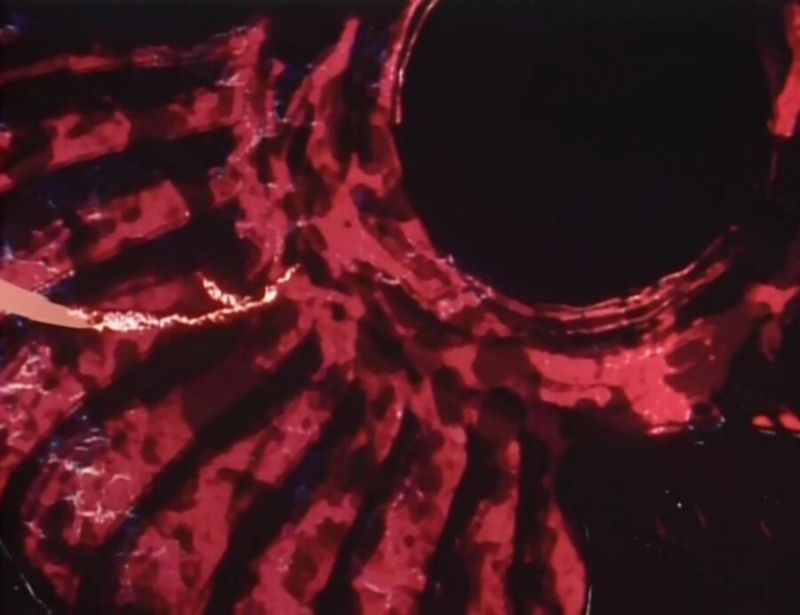 가오가이가)?? : 너 혼자서 뭘 할수 있겠냐?_10.jpg