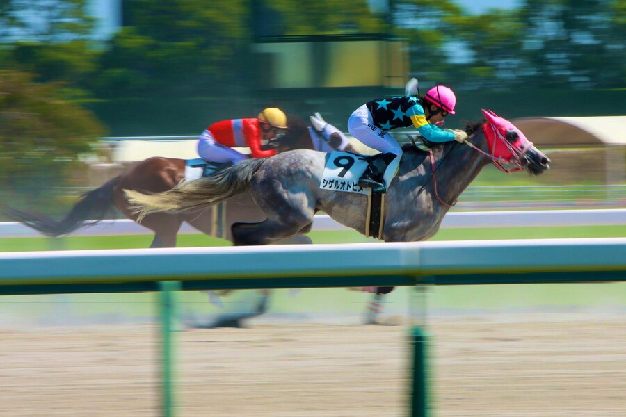 경마) 어제 기수 은퇴한 와다 류지의 조카._1.jpg