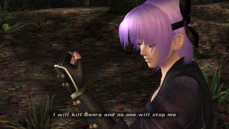 DEAD OR ALIVE 3_7.jpg