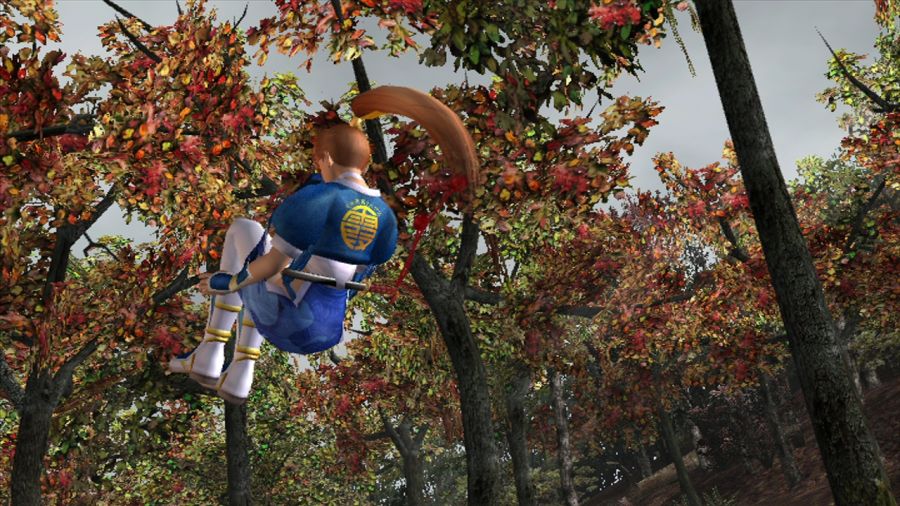 DEAD OR ALIVE 3_2.jpg