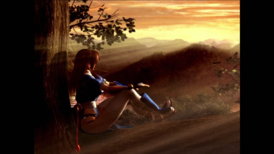 DEAD OR ALIVE 3_62.jpg