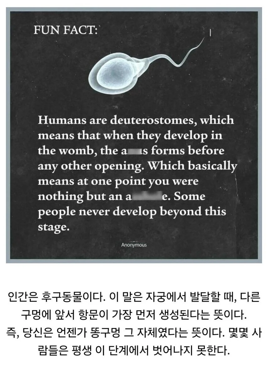 인간에게 가장 먼저 생기는 구멍_1.webp