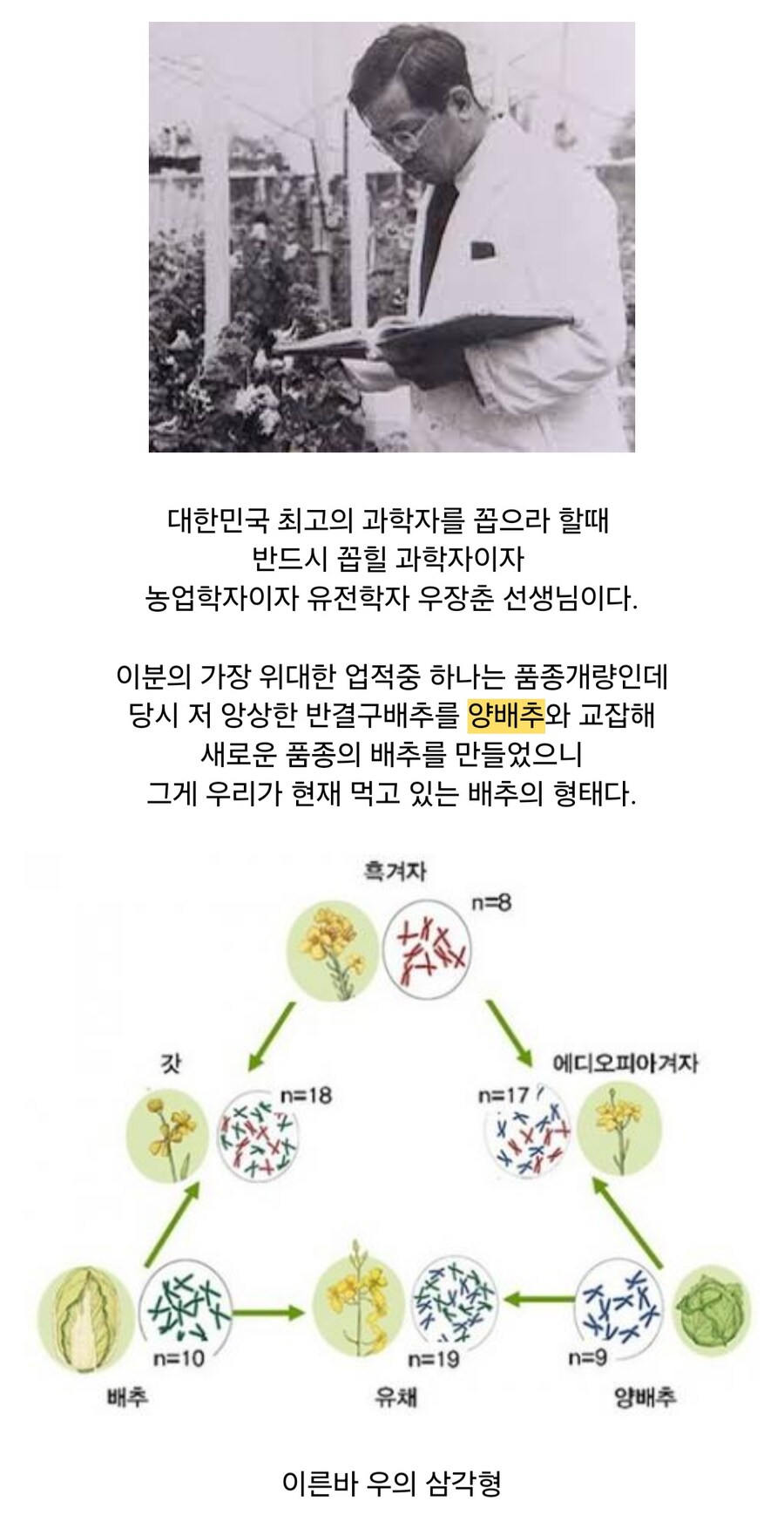 사실 역사가 100년 남짓밖에 안된 한국의 대표 음식_6.jpg