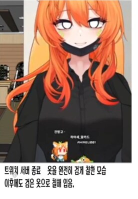 버튜버,버미육)아닌겨의 건망고 저작권 관련문제 결과_1.png