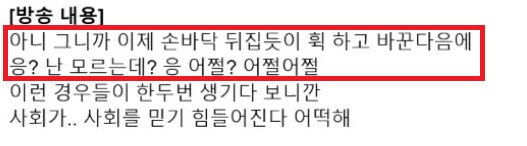 버튜버,버미육)아닌겨의 건망고 저작권 관련문제 결과_9.png