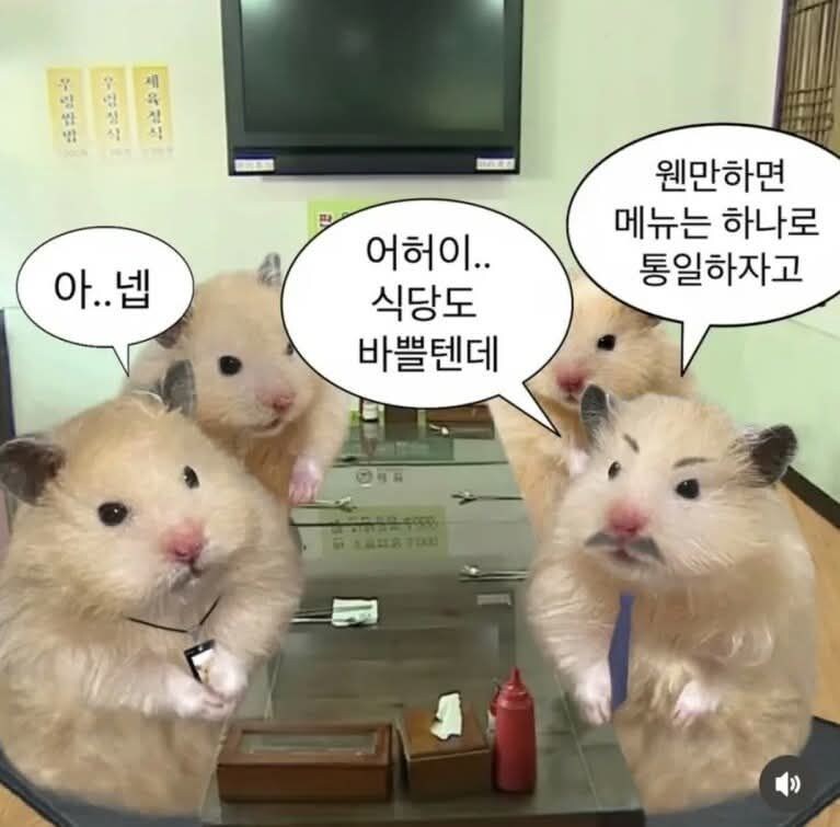 식당도 바쁠텐데 메뉴는 하나로 통일하지_2.jpg