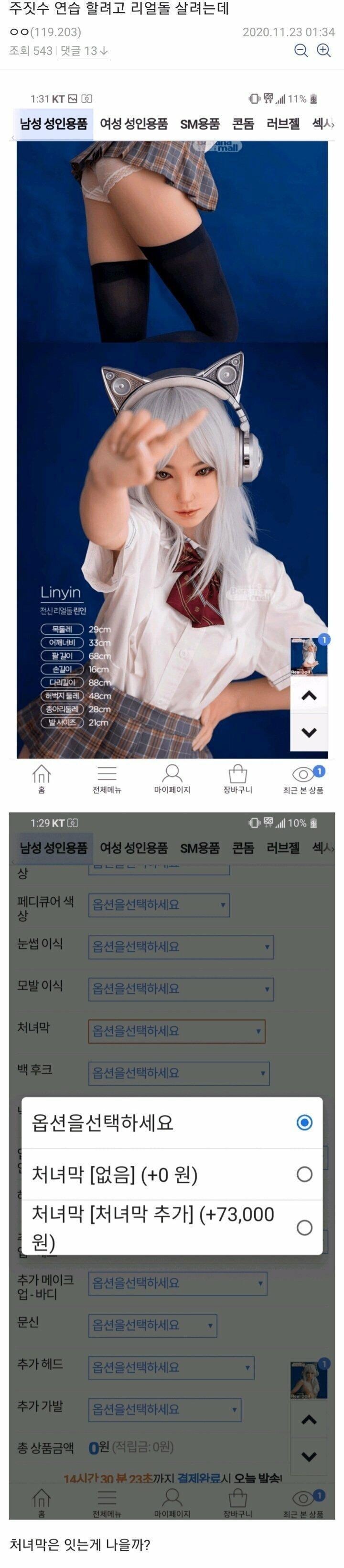 약ㅎ) 주짓수 연습 할려고 리얼돌 살려는데.jpg_1.jpg