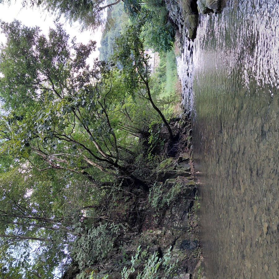 일상) 5개월아기 데리고 한 짓_2.jpg