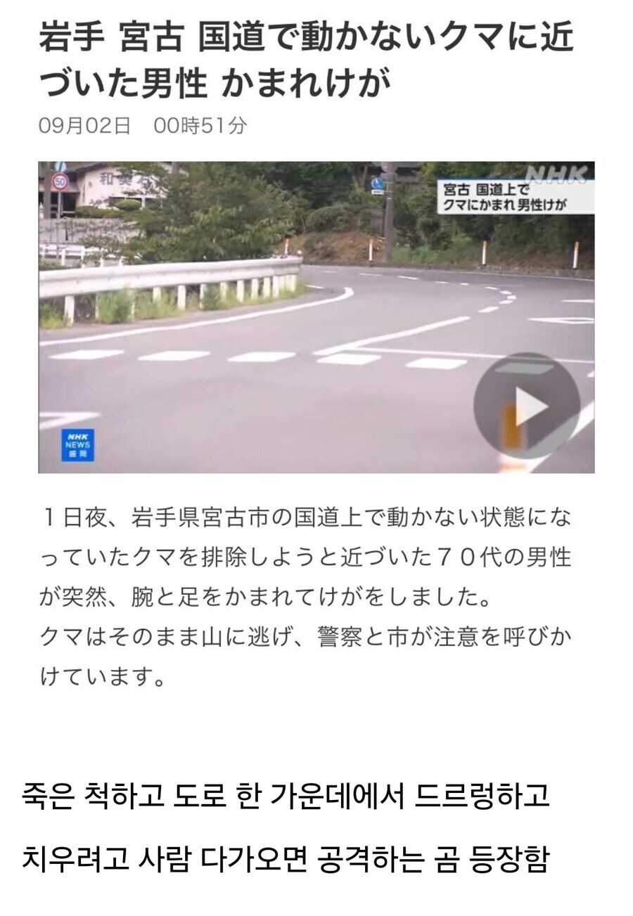 요즘 일본 곰들의 사냥 전략.jpg_3.jpg